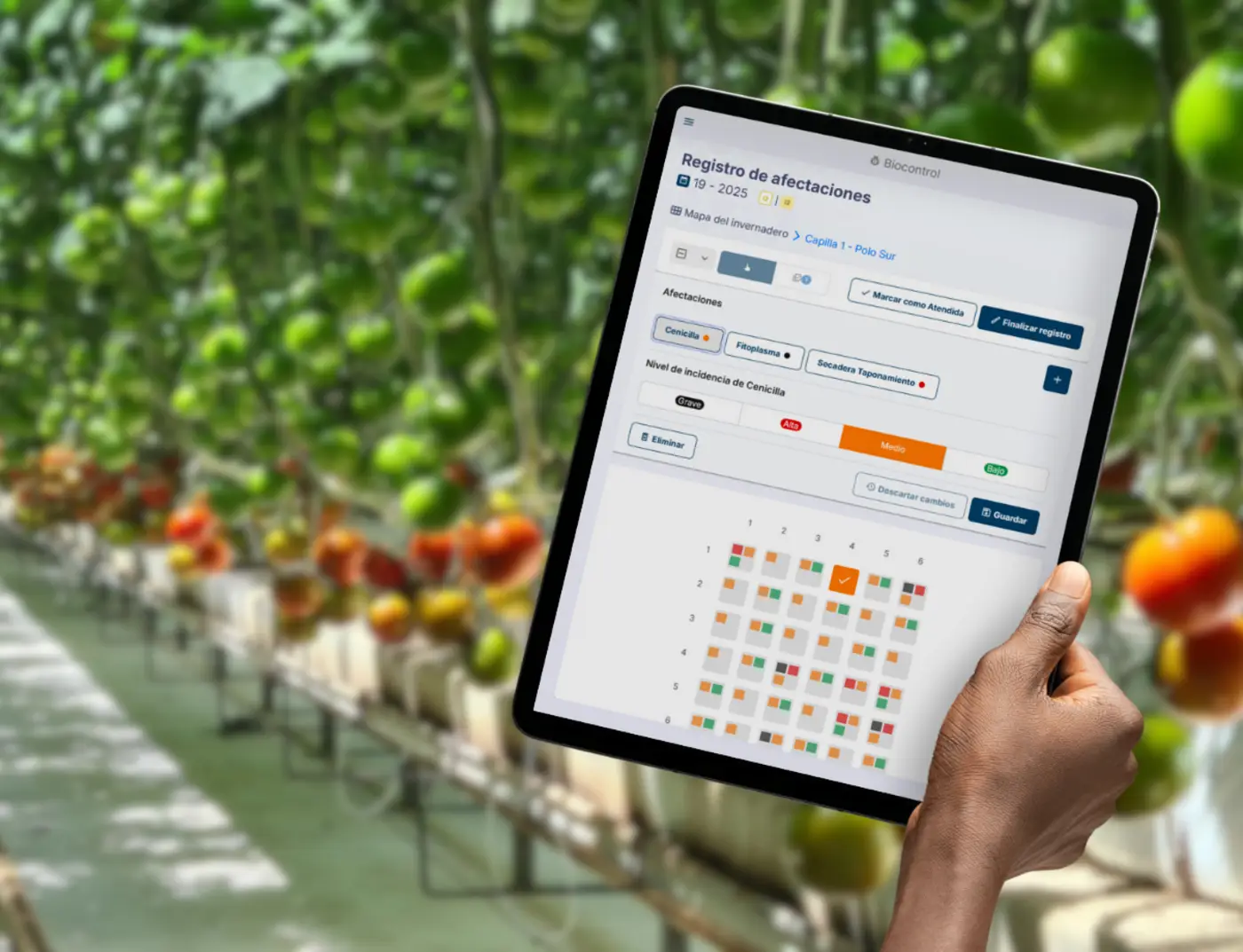 person holding a tablet with a dashboard